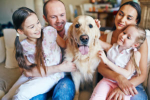 Hvac Tips For Pet Owners