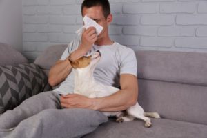 Man Sitting On Couch With Dog, Blowing His Nose